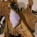QfHryUmzPH8MFDJfFzRT2VQ8cFNytWI2DCrGntTrZhf=smd.webp