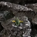 7KETAk0K0Z5ofY92vrc-VYFZmlrlMn932teBv0SIRZw=smd.webp