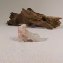 8CjZokQq3dpR1Fjtn0vSrnavDtZ1yR6fBFkkfp1v5Nq=smd.webp