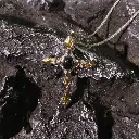 JEbWiSRwLb0nrf-iGKw7MRDDZOxZV5BVwXYN27oJFdG=smd.webp