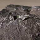 高冰玻種木那圓蛋面設計戒指