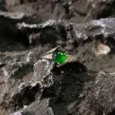 正圓滿綠蛋面戒指(危地馬拉)