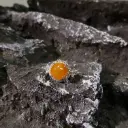 小春子正圓橘子蛋面戒指